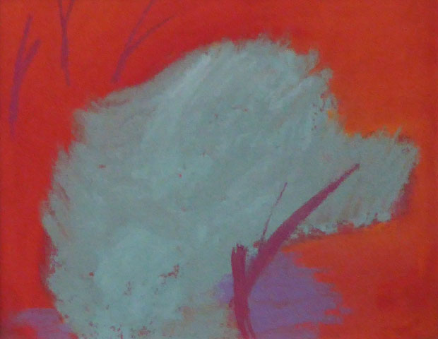 Sue Campion, Red Ground