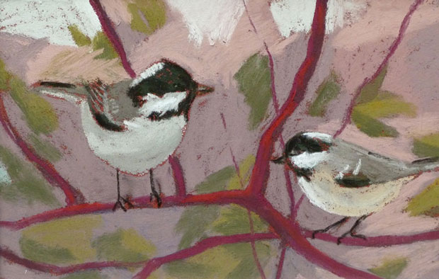 Sue Campion, Coaltits