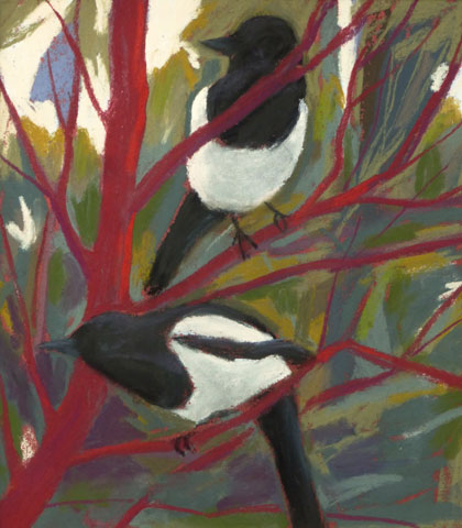 Sue Campion, Handsome Magpies

