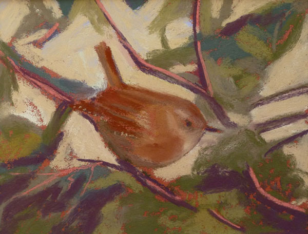 Sue Campion, The Wren